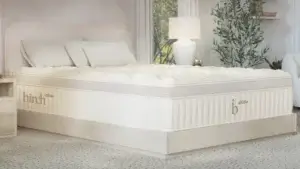Birch Mattress