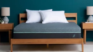 Tuft &amp; Needle Mattress