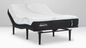 Tempur-Pedic Mattress
