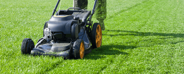 teen lawn mowing