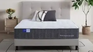 Sleep Republic