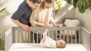 Naturepedic Crib Mattress