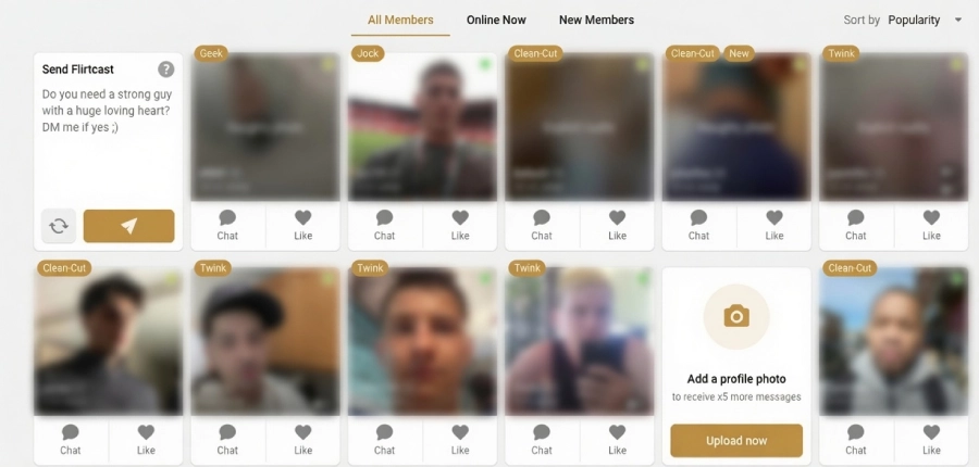 Gay Bloom Home Page showing profiles