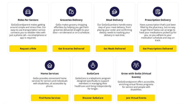 Key Features of GoGoGrandparents infographic