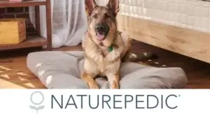 Naturepedic Dog Bed &#8211; Pet Insurance Cross